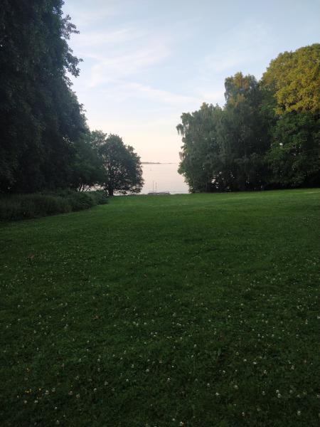 IMG_20190717_204432.jpg