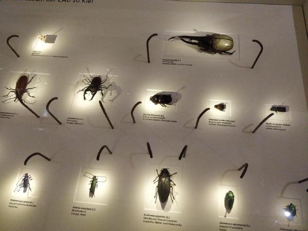 IMG_20190718_133821.jpg