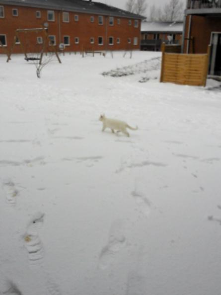 20150225232847-86bf55a8-me.jpg