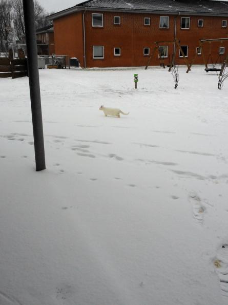 20150225232848-f15398cb-me.jpg