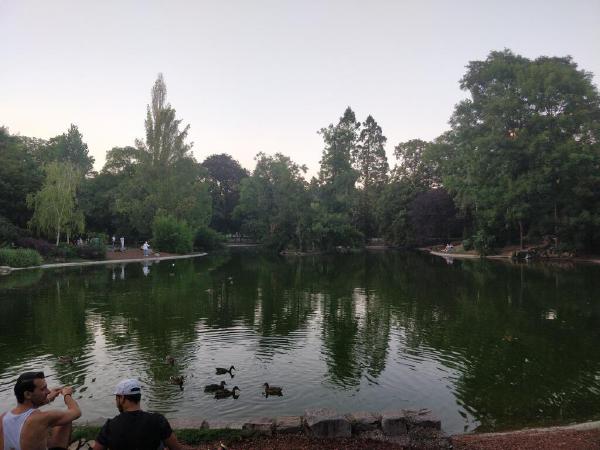 IMG_20190723_202754.jpg
