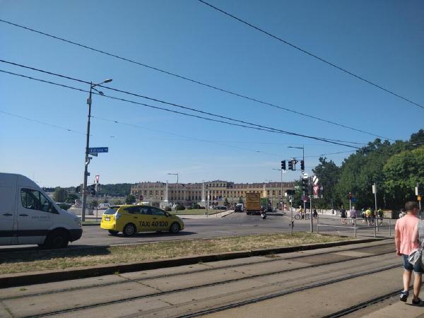 IMG_20190725_093638.jpg