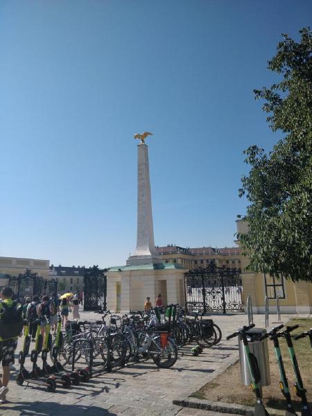 IMG_20190725_093912.jpg