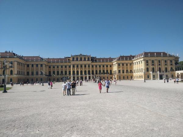 IMG_20190725_094123.jpg