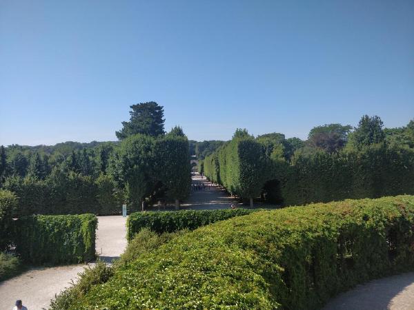 IMG_20190725_100133.jpg