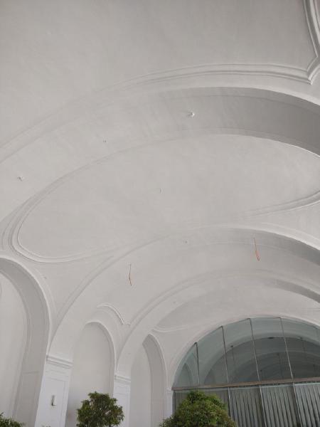 IMG_20190725_100838.jpg