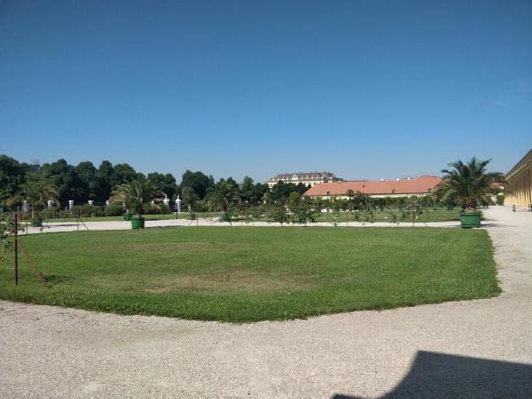 IMG_20190725_101815.jpg
