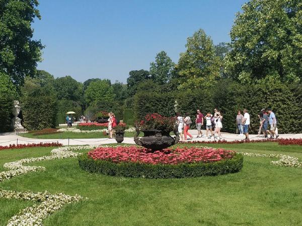 IMG_20190725_104011.jpg