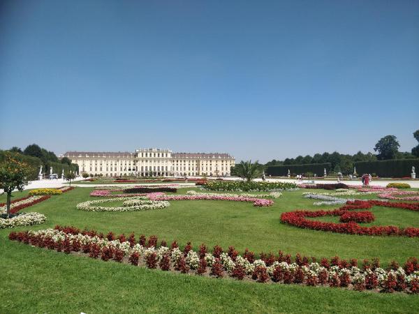 IMG_20190725_131104.jpg