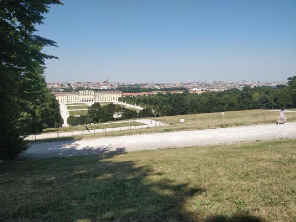 IMG_20190725_145041.jpg