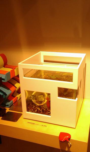 20130703162055-2e2f28a3-me.jpg
