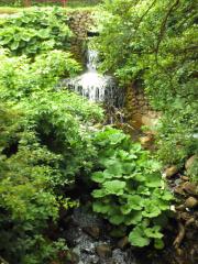 20150624100023-c29529b9-2s.jpg