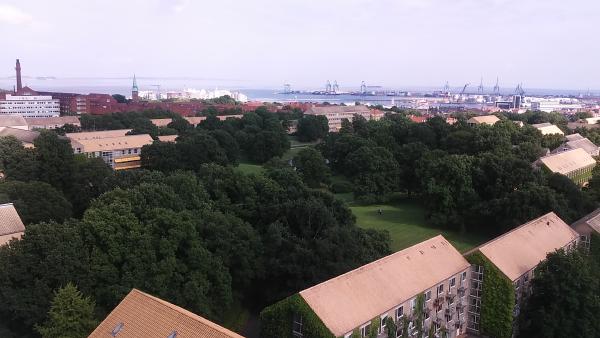 20160617_170749.jpg