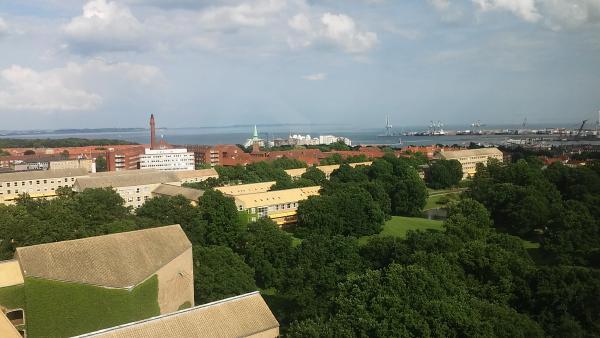 20160617_171747.jpg