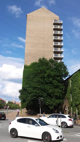 20160617_175348.jpg