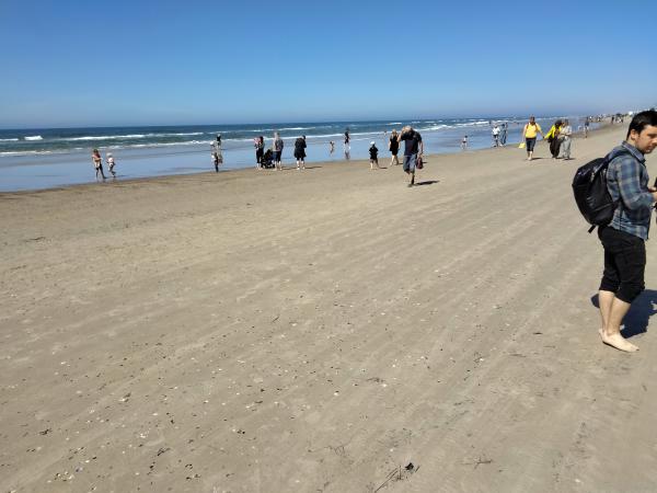 IMG_20220604_151604_optimized.jpg