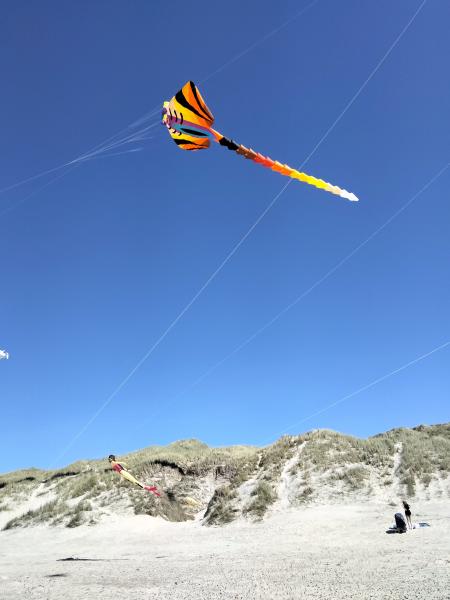 IMG_20220604_153102_optimized.jpg