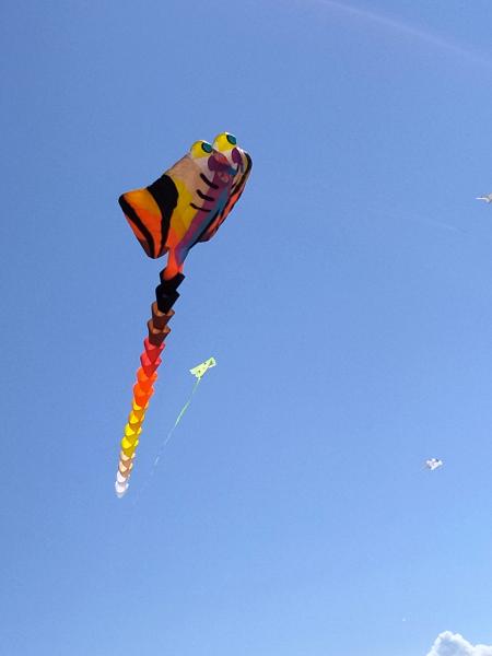 IMG_20220604_154630_optimized.jpg