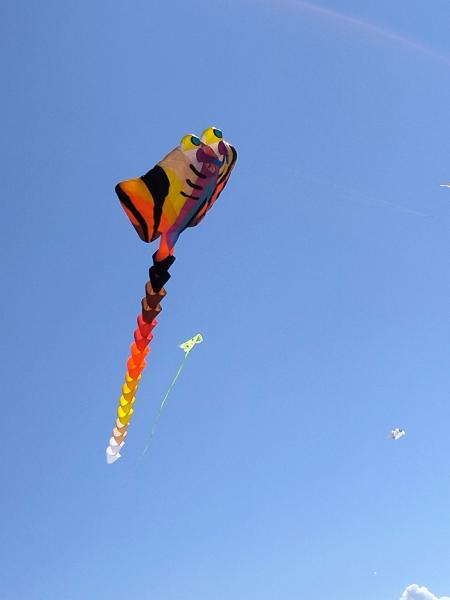 IMG_20220604_154631_optimized.jpg
