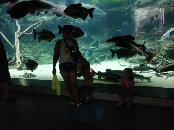IMG_20200723_125522.jpg