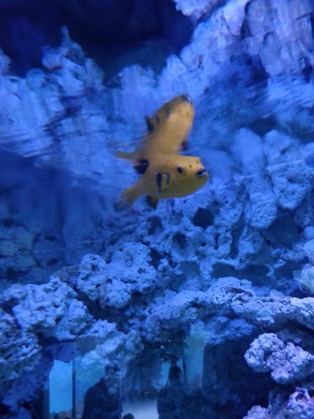 IMG_20200723_134103.jpg