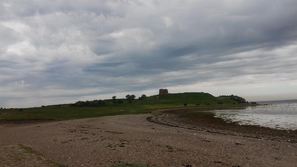 20170528_103751.jpg
