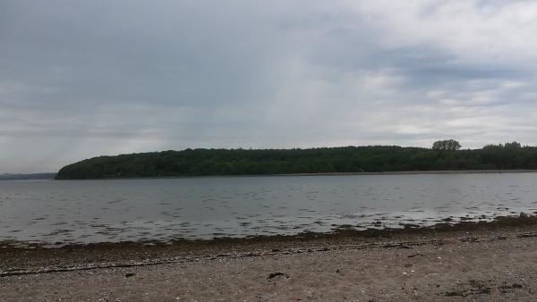 20170528_103756.jpg