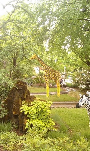 IMAG0464.jpg