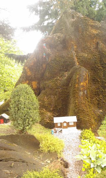 IMAG0467.jpg