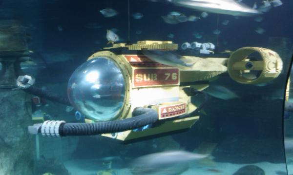 IMAG0534.jpg