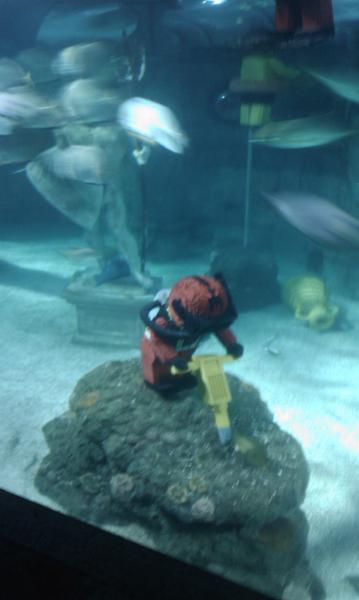 IMAG0536.jpg