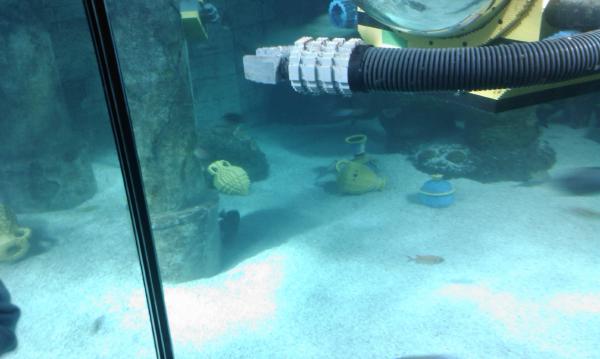 IMAG0538.jpg