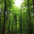 20150607200010-fc7ab718-sq.jpg