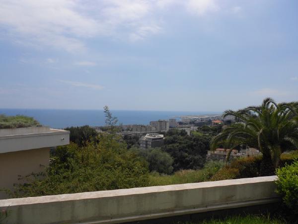 20130514195407-94cfac93-me.jpg