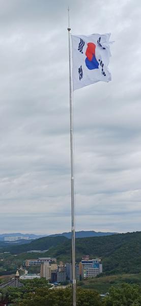 20251009_102944.jpg