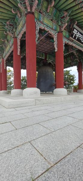 20251009_123720.jpg