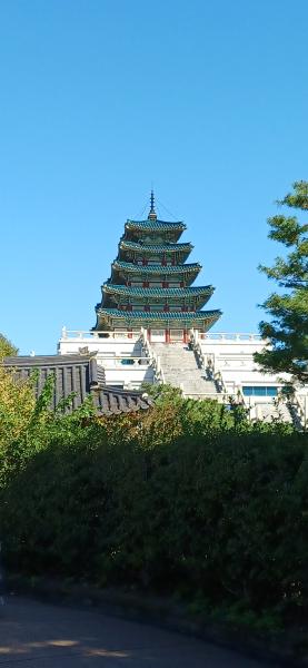 20251008_104220.jpg