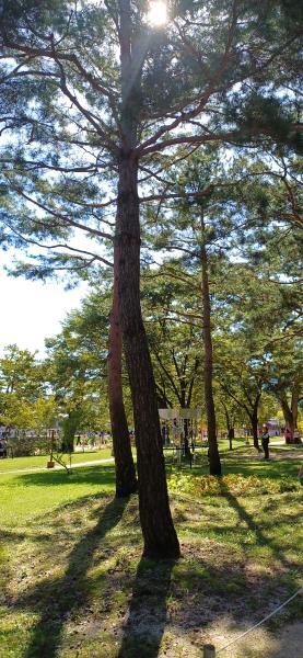 20251008_105859.jpg