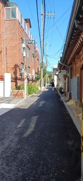 20251008_112542.jpg