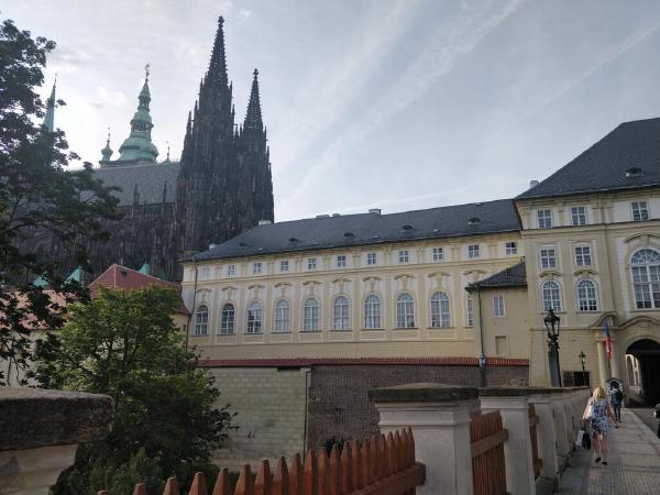 IMG_20190722_074900.jpg