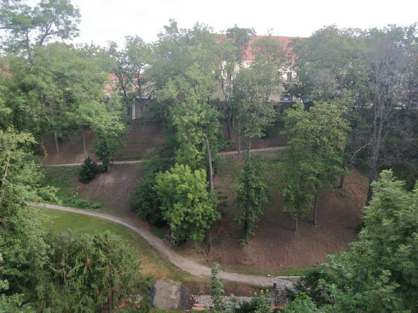 IMG_20190722_082929.jpg