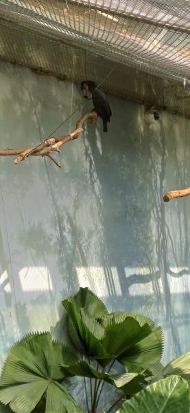 20240902_140725.jpg