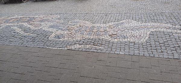 20240902_170357.jpg