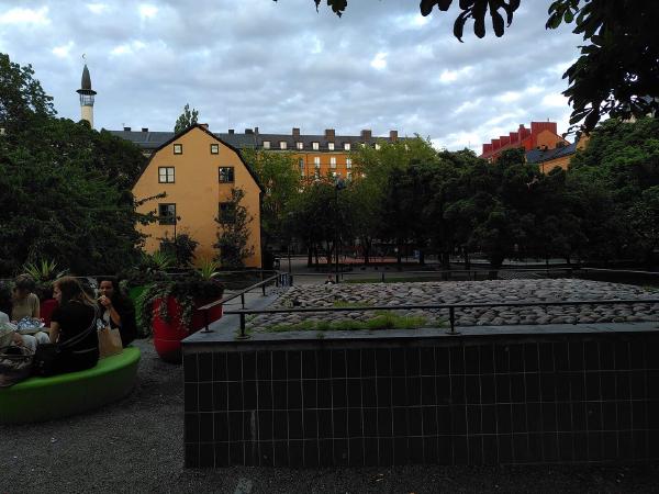 IMG_20220717_201248.jpg