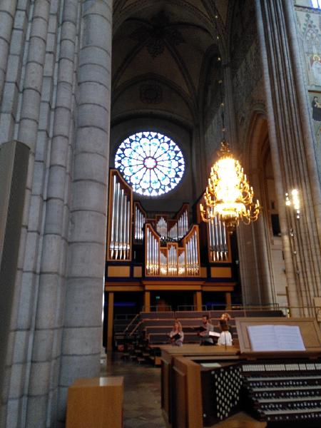 IMG_20220717_095051.jpg